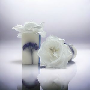 CANDELA BOTANICA LUCIANA