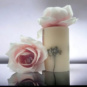 CANDELA BOTANICA EMILIANA