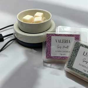 BRUCIATORE PER WAX MELT